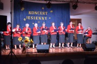 koncert jesienny 2017 (45)