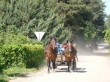 marsz (12)