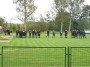 SAM_0780