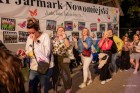 XI Jarmark Nowomiejski 2024 (235)
