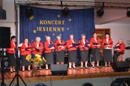 koncert jesienny 2017 (44)