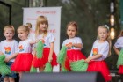 XI Jarmark Nowomiejski 2024 (24)