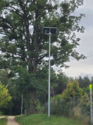 lampy (2)