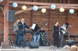 koncert wiosenny 2016 (99)